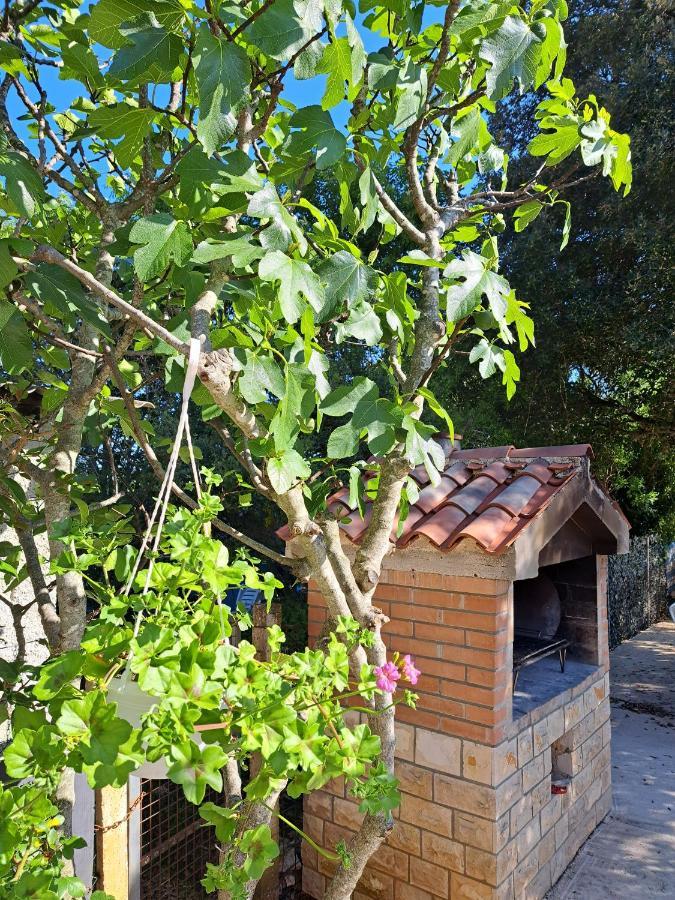 Apartman Melita Galizana Экстерьер фото